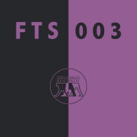 Fts3 - Pierre Bastien / Anna Homler vinyl cover