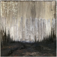 Fujako - Landform Erosion vinyl cover