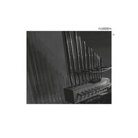 Fujita - Iki vinyl cover