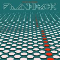 Fujiya & Miyagi - Flashback vinyl cover