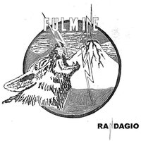Fulmine - Randagio vinyl cover
