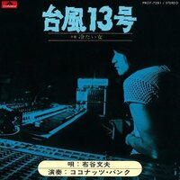 Fumio Nunoya - Taifu13gou / Tsumetaionna vinyl cover