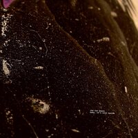 Fun Years - Baby, It's Cold Inside vinyl cover