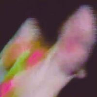  Function - Existenz vinyl cover