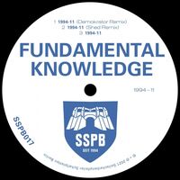 Fundamental Knowledge - 1994-11 vinyl cover