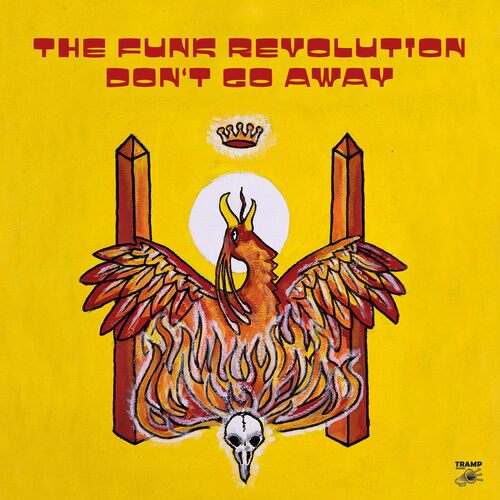 Funk Revolution - Don't Go Away vinyl cover