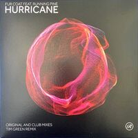 Fur Coat  /  Running Pine - Hurricane vinyl cover