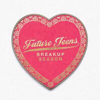 Future Teens - Breakup Season vinyl cover
