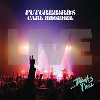 Futurebirds & Carl Broemel - ...Thanks Y'all vinyl cover