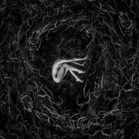 Fvnerals - Let The Earth Be Silent vinyl cover