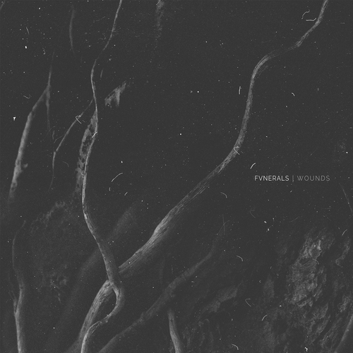 Fvnerals - Wounds