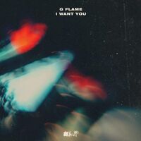G Flame - I Want You vinyl cover