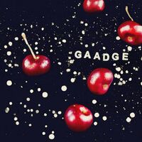 Gaadge - Somewhere Down Below vinyl cover