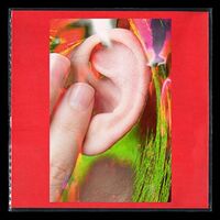 Gabber Eleganza  &  Hdmirror - The Real Life vinyl cover