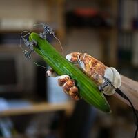 Gajek - Vitamin D vinyl cover