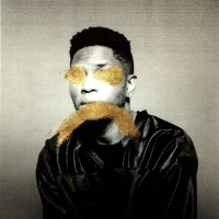 Gallant - Ology vinyl cover