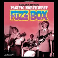 Garland Records - Pacific Northwest Fuzz Box vinyl cover