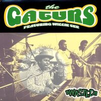Gaturs - Wasted vinyl cover