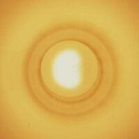 Gaute Granli - Monstersol vinyl cover