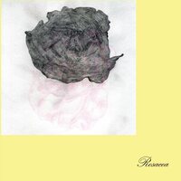 Gaute Granli - Rosacea vinyl cover