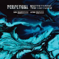 Gavin Harrison & Antoine Fafard - Perpetual Mutations vinyl cover