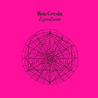 Ron Geesin - Expozoom vinyl cover