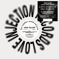 Gene Tellem - Phantom Vibrations vinyl cover