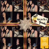 Geordie - Hope You Like It  vinyl cover