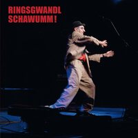 Georg Ringsgwandl - Schawumm! vinyl cover