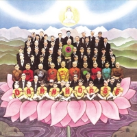 George Harrison - Dark Horse vinyl cover