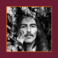 George Harrison - The Collection vinyl cover