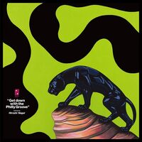 Get Down With The Philly Groove (Hiroshi Nagai) - Get Down With The Philly Groove vinyl cover