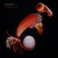 Gewalt - Paradies vinyl cover