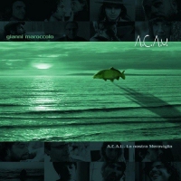 Gianni Maroccolo - A.c.a.u. La Nostra Meraviglia vinyl cover