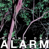 Giant Day - Alarm vinyl cover