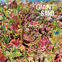 Giant Sand - Returns To Valley Of Rain vinyl cover