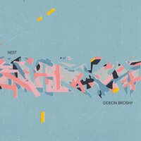Gideon Broshy - Nest vinyl cover