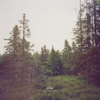 Gidge - Autumn Bells vinyl cover