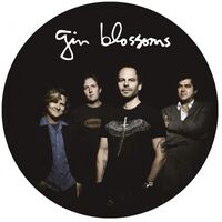 Gin Blossoms - Live In Concert - Picture Disc Vinyl vinyl cover