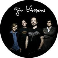 Gin Blossoms - Live In Concert vinyl cover