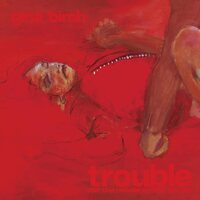 Gina Birch - Trouble vinyl cover