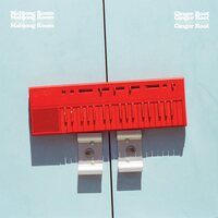 Ginger Root - Mahjong Room vinyl cover