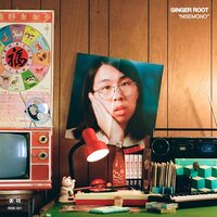Ginger Root - NISEMONO vinyl cover