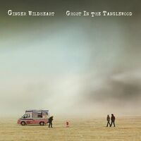 Ginger Wildheart - Ghost In The Tanglewood vinyl cover