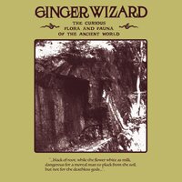 Ginger Wizard - The Curious Flora And Fauna Of The Ancient World vinyl cover