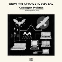 Giovanni De Dona & Nasty Boy - Convergent Evolution vinyl cover