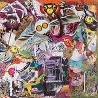 Giraffes - Memory Lame vinyl cover