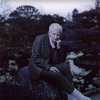 Girl Friday - Androgynous Mary vinyl cover