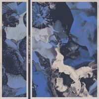 Girls In Airports - Dive vinyl cover