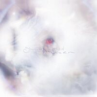 Glixen - She Only Said vinyl cover